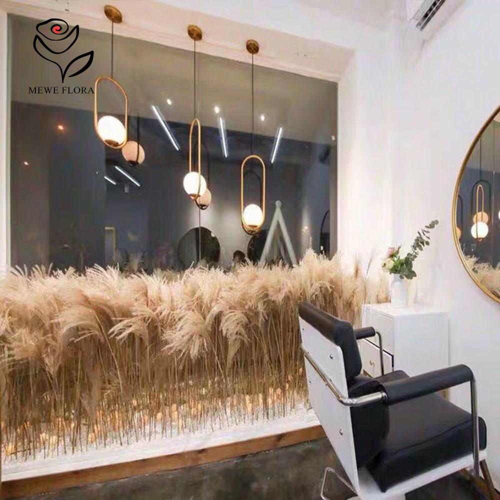 200 adet doğal kurutulmuş kaba - Luxury Lifestyle Items incelemesi ve fiyatı