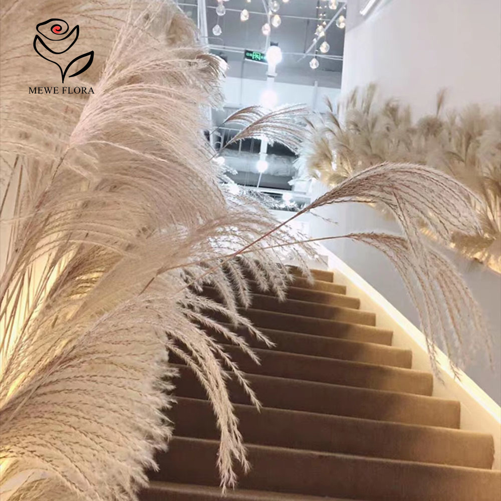 200 adet doğal kurutulmuş kaba - Luxury Lifestyle Items incelemesi ve fiyatı