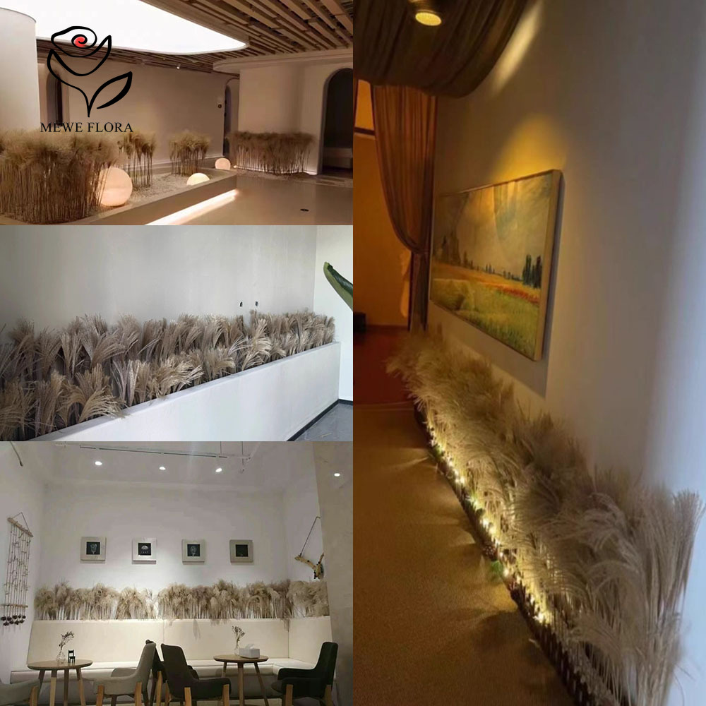 200 adet doğal kurutulmuş kaba - Luxury Lifestyle Items incelemesi ve fiyatı